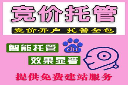 揭秘SEM竞价代运营高效策略